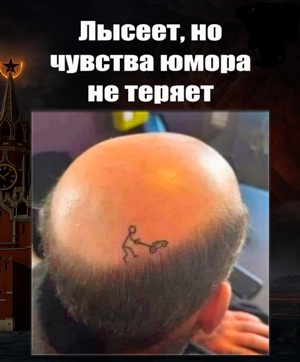 liseet_s_iumorom.jpg
